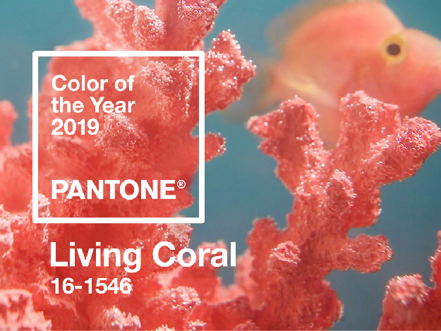 Pantone 發布 2019 年度流行色 -- 珊瑚橙